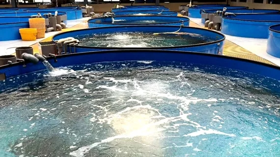 水产养殖项目