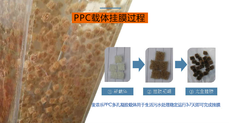 图片 13.png